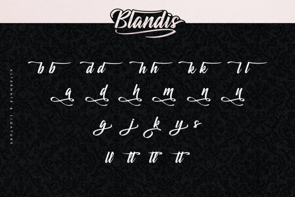 Blandis Brush Font 5