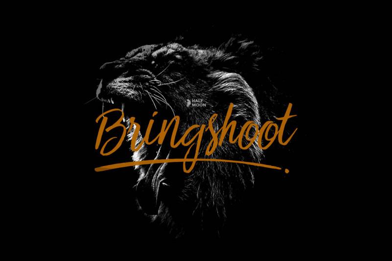 Bringshoot Font