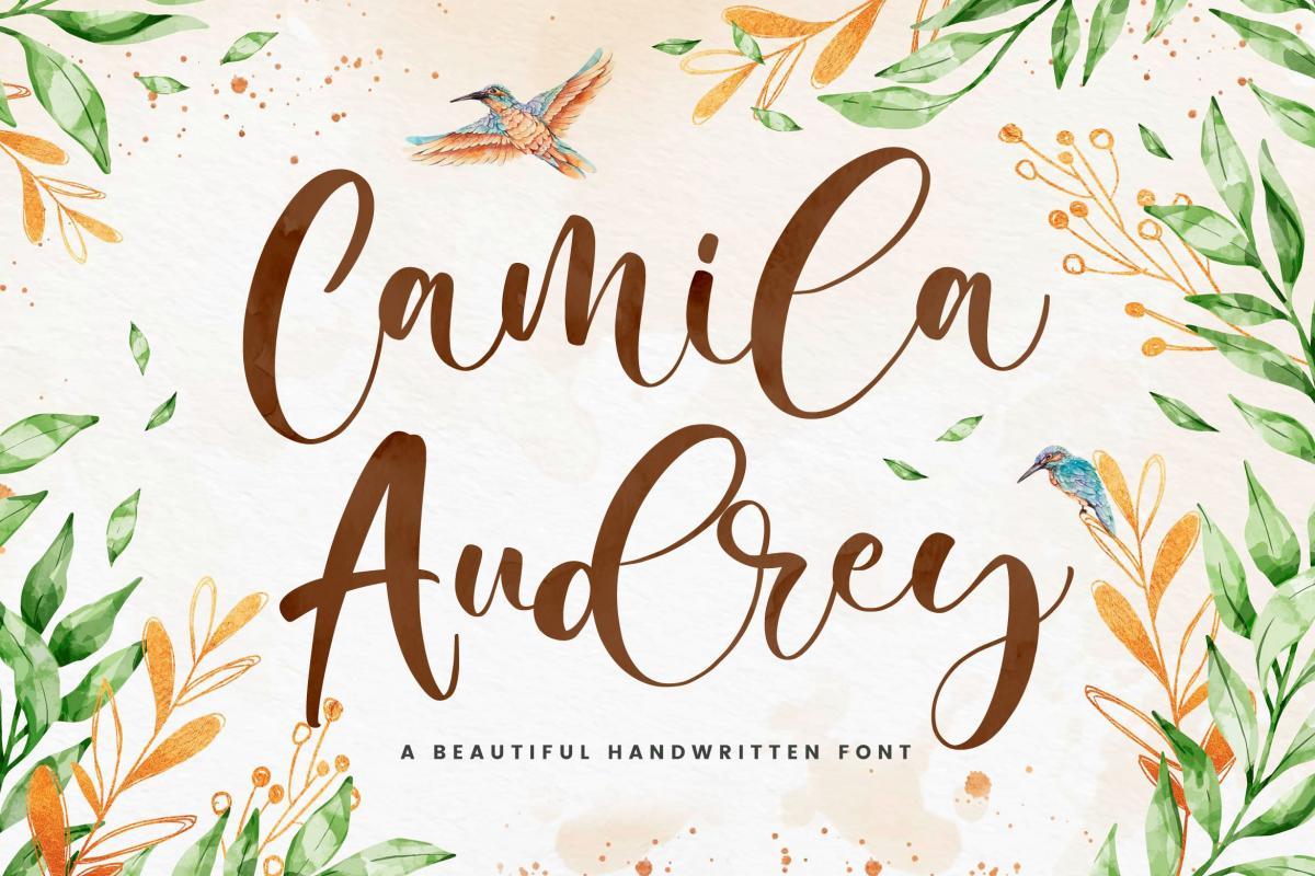 Camila Audrey Beautiful Script Font 1