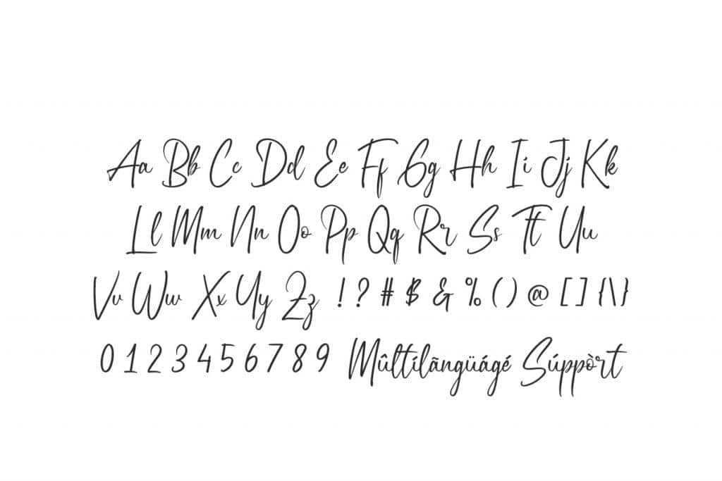 Fake Soul Script Font 2