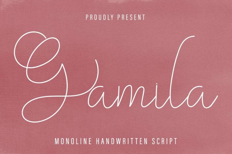 Gamila Thin Handwritten Font