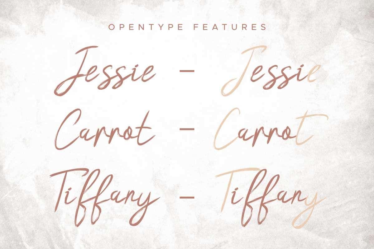 Hasita Hillary Brush Font 5