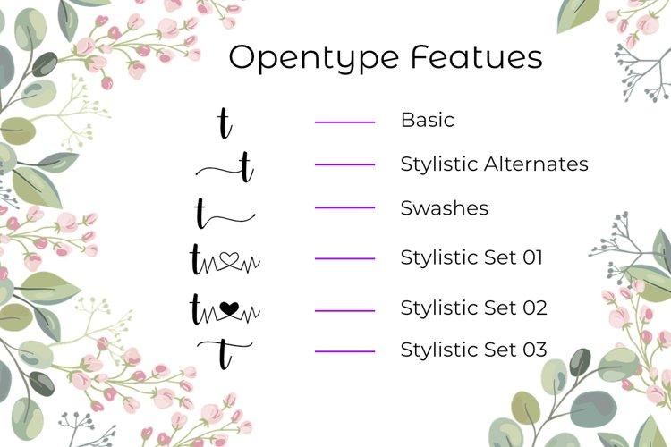 Heart Attack Calligraphy Font 2