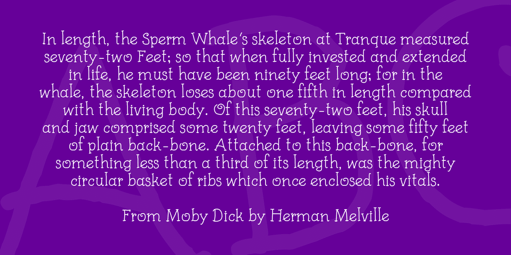 Kids Book Font Family 2