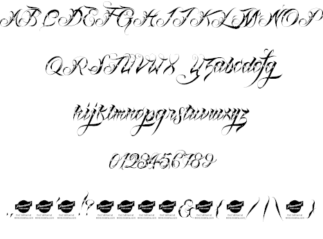 Lina Script Font Family