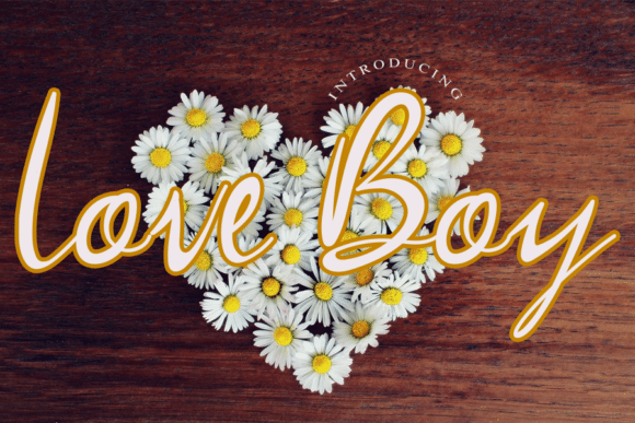 Love Boy Script Font 1