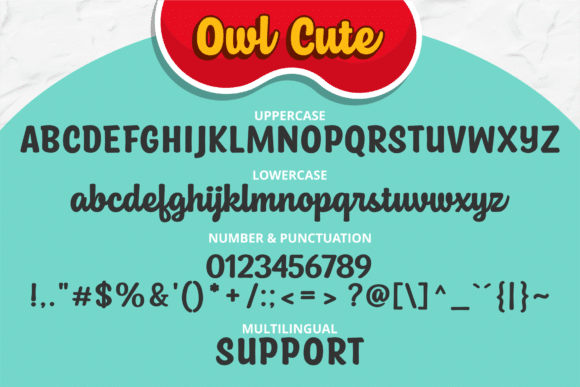 Owl Cute Script Font 4