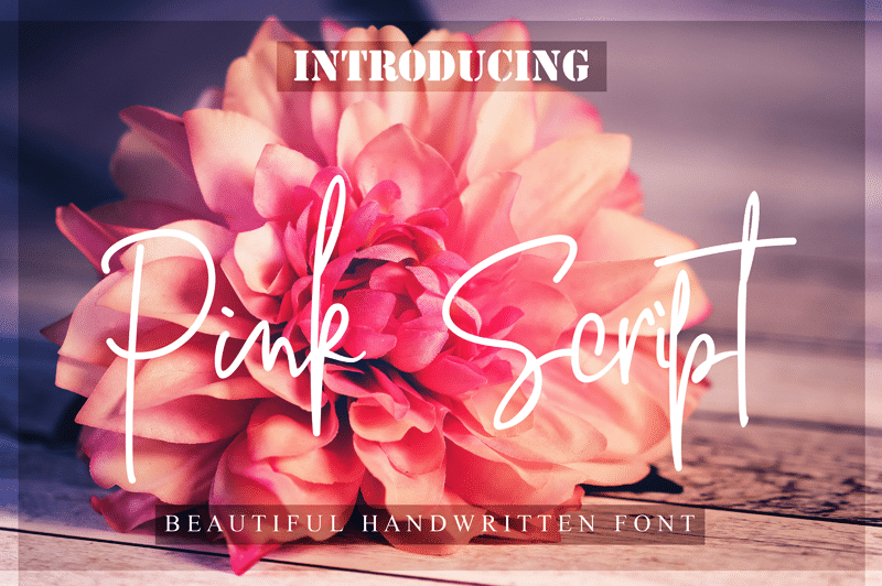 Pink Script Font 1