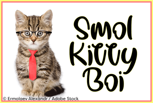 Smol Kitty Boi Font 1