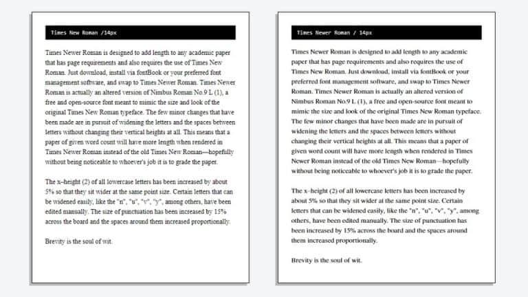 Times Newer Roman Serif Font 3