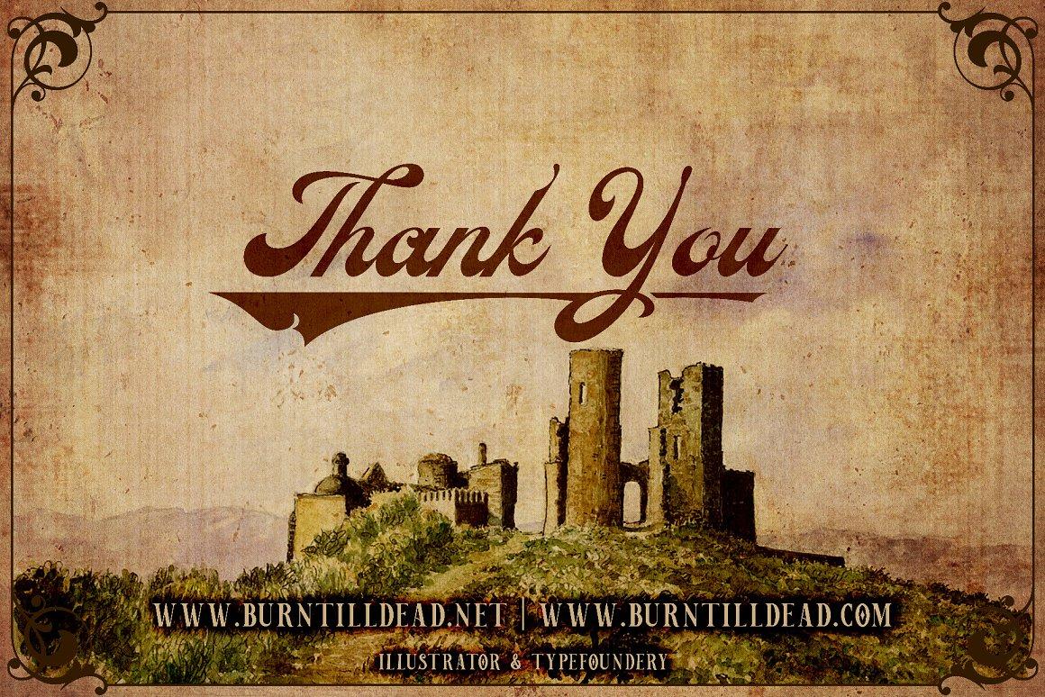 Veinline Script Font 9