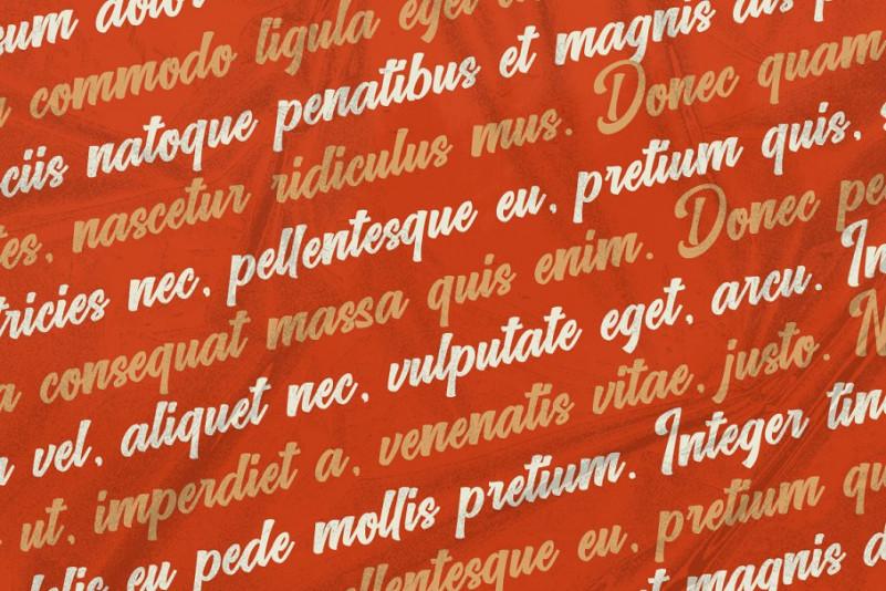 Vrindals Script Font 2