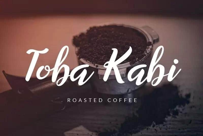 Willynta Script Font 3