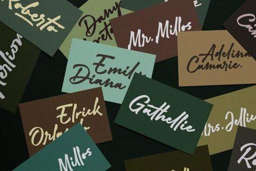 Adelina Camarie Signature Font 14