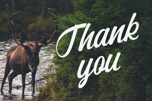 Adrenaline Script Font 8