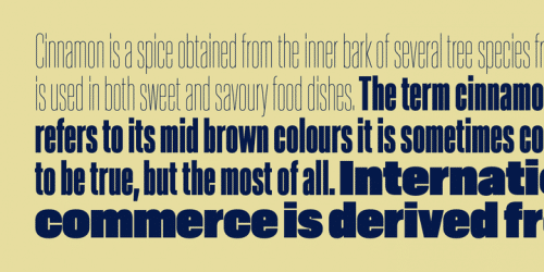 Akkordeon Font Family 8