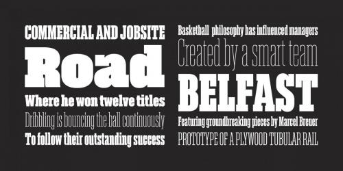 Akkordeon Slab Font Family 1