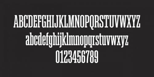 Akkordeon Slab Font Family 10