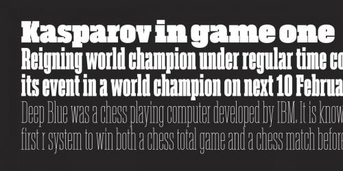 Akkordeon Slab Font Family 5