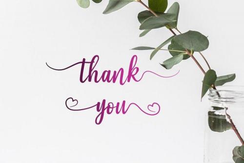 Alfia Calligraphy Font 1