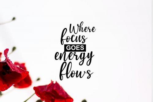 Alfia Calligraphy Font 2