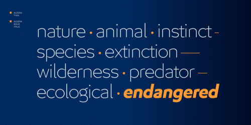 Algera Sans Serif Font 11