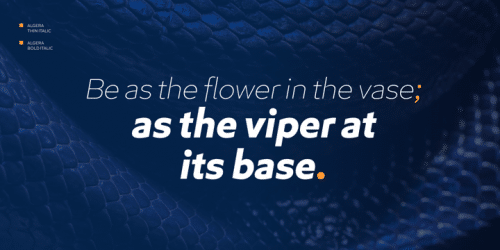 Algera Sans Serif Font 13