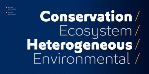 Algera Sans Serif Font 3