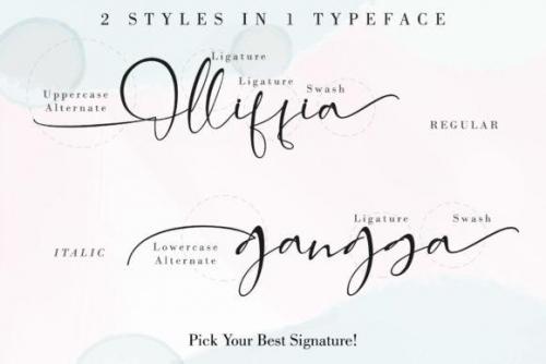Alleffra Calligraphy Font 7