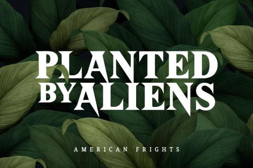 American Frights Serif Font 3