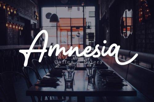 Amterina Monoline Script Font 4