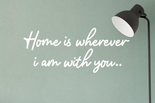 Amterina Monoline Script Font 5