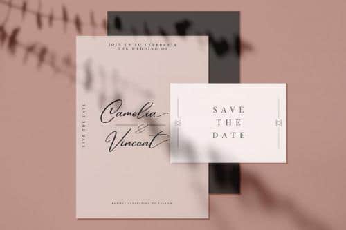 Andasia Script Font 2