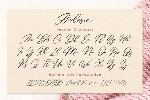 Andasia Script Font 54