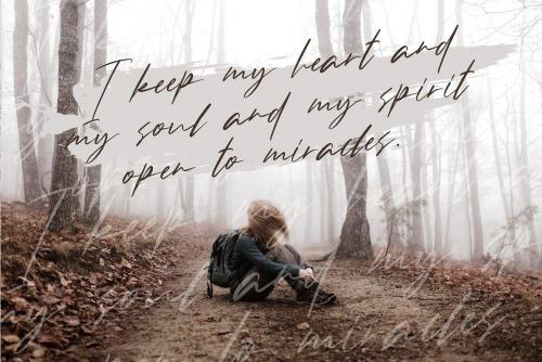 Andrea Roft Script Font 13