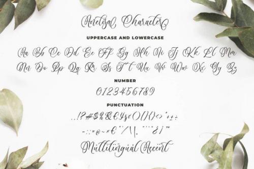 Anelisa Calligraphy Font 4