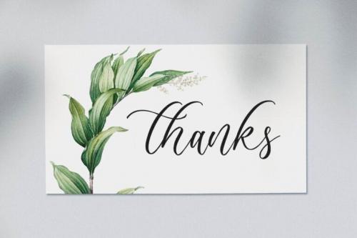Anelisa Calligraphy Font 6
