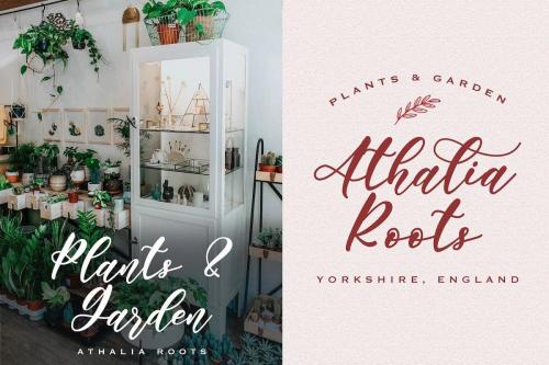Angelina Rahmy Calligraphy Font 12