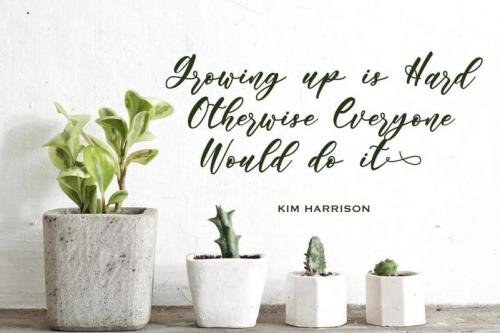Angelina Rahmy Calligraphy Font 2