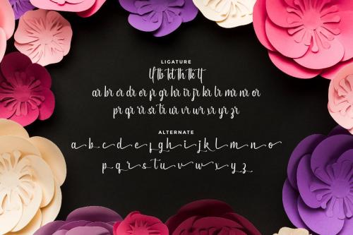 Anytime Soon Script Font  7