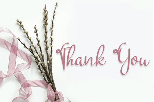 Bahagia Jarah Script Font 5