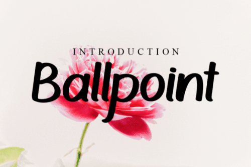 Ballpoint Script Font 1