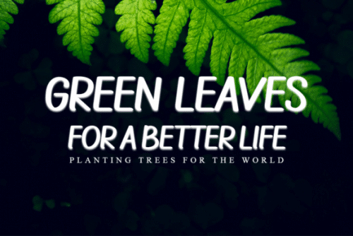 Ballpoint Script Font 5