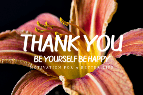 Ballpoint Script Font 6