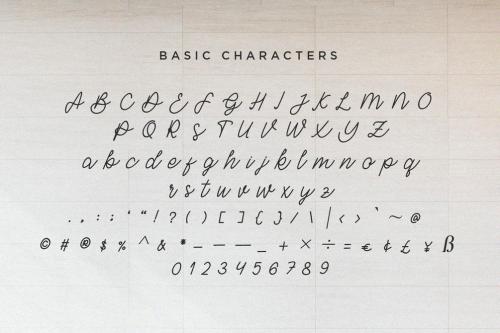 Barley Monoline Calligraphy Font 8
