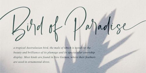 Barrington Calligraphy Font 10