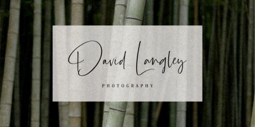 Barrington Calligraphy Font 13