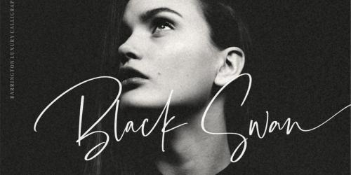 Barrington Calligraphy Font 3