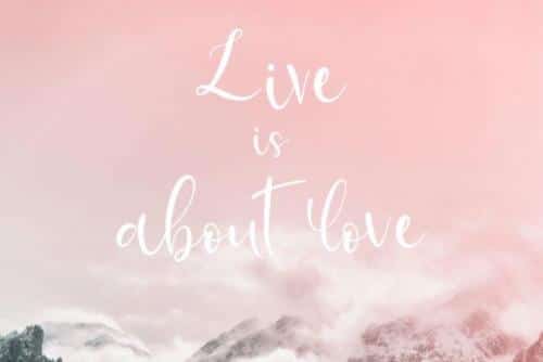 BellaBerry Script Font 3