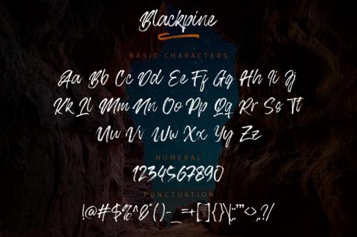 Blackpine Brush Font 6